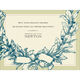 Blue Wreath Holiday Cards Image 2 of 2